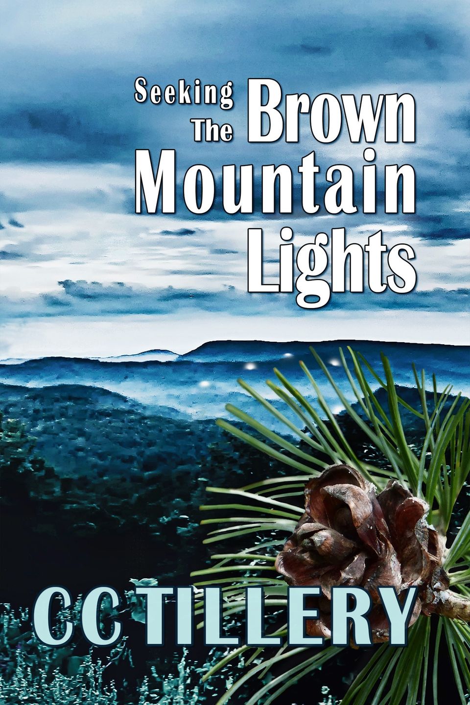 Brown mountain lights seeking large