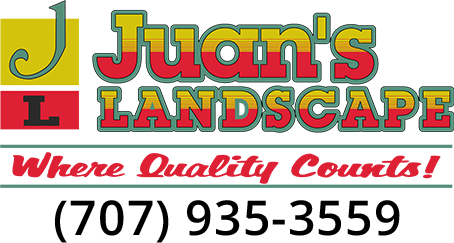 Juan's Landscape