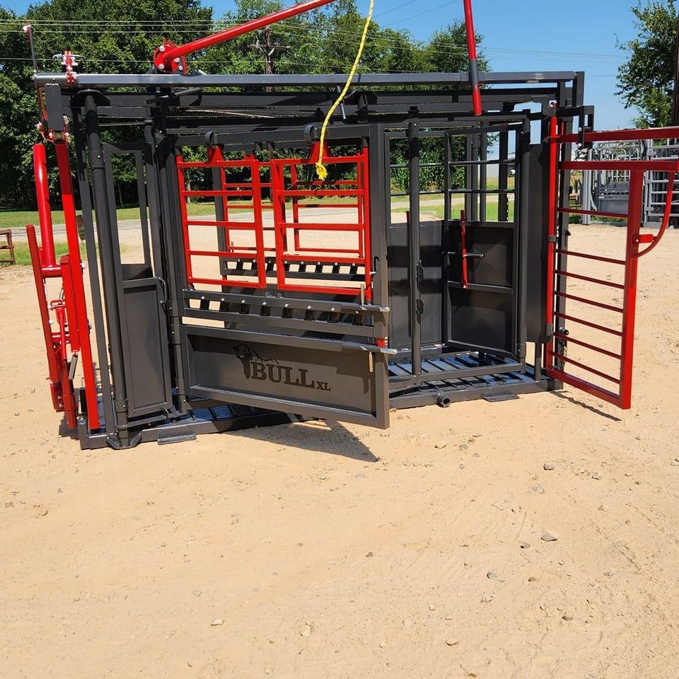 Bull xl