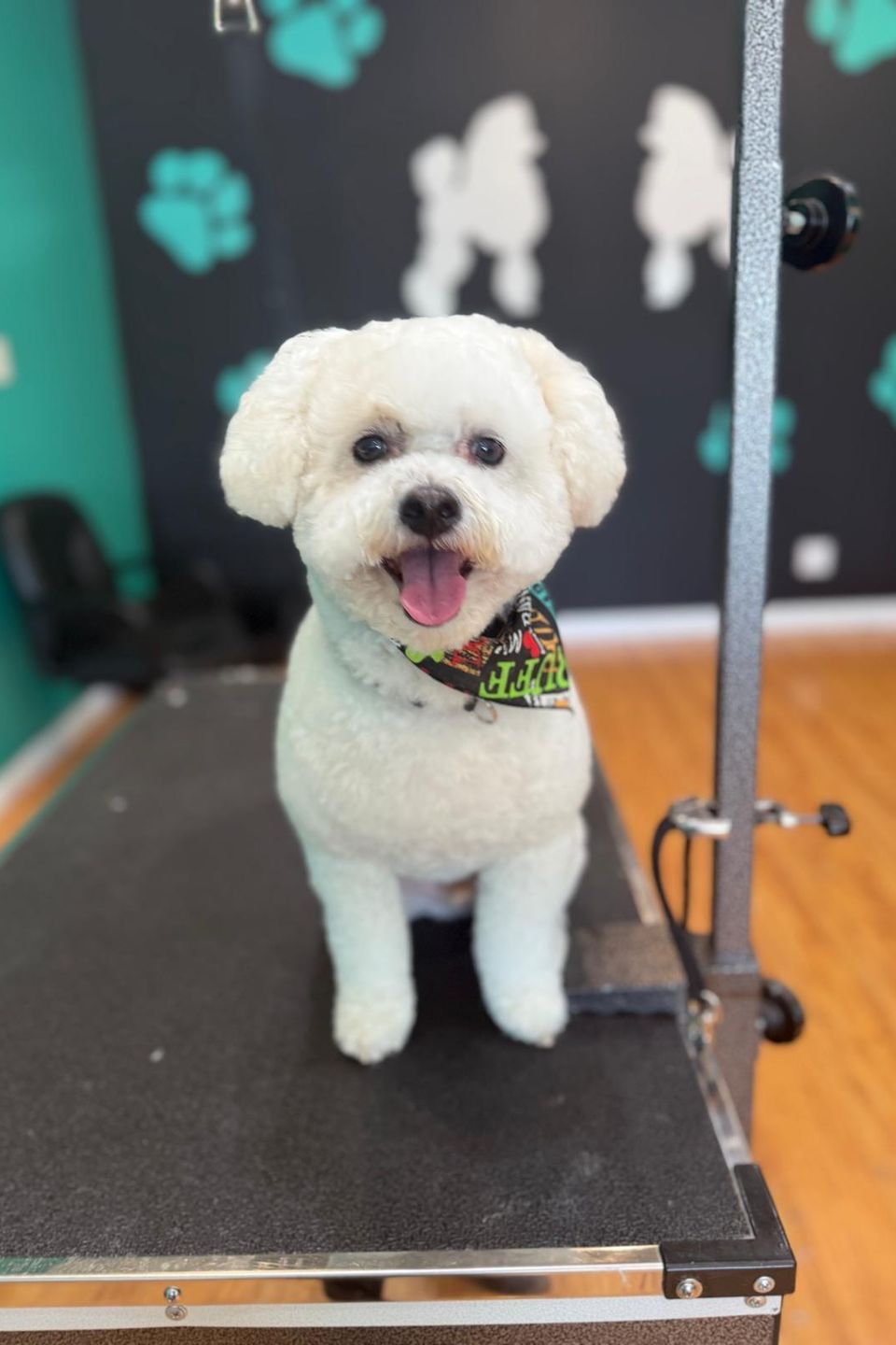 Woofsp4