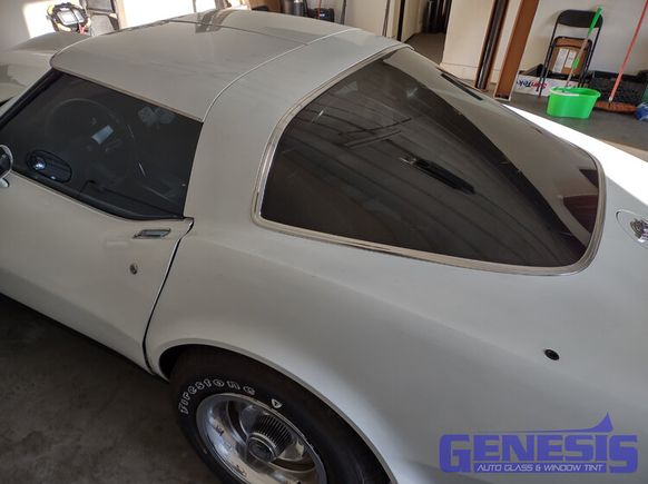Genesis vette rear 1