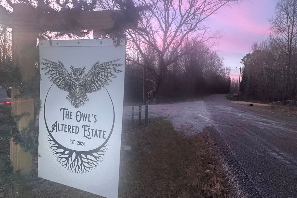 615291885 26363369006597245 8250339828682222769 n