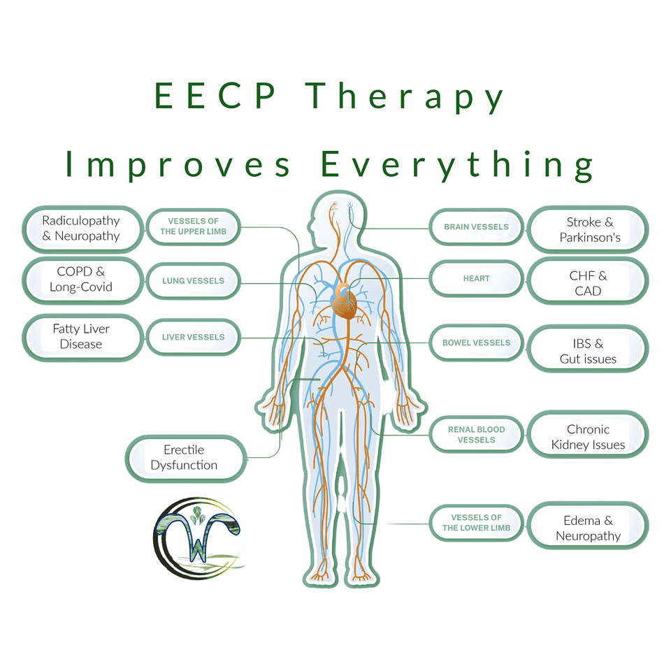 Updated website graphic with illnesses final