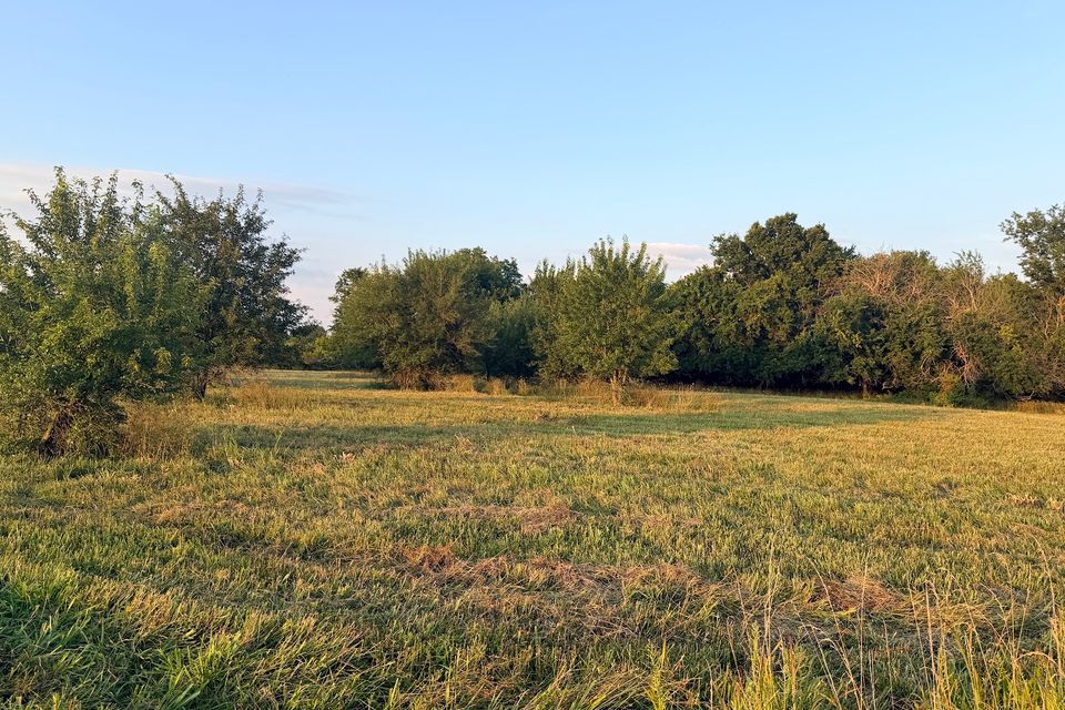 Went 72 5 field and grove large trees