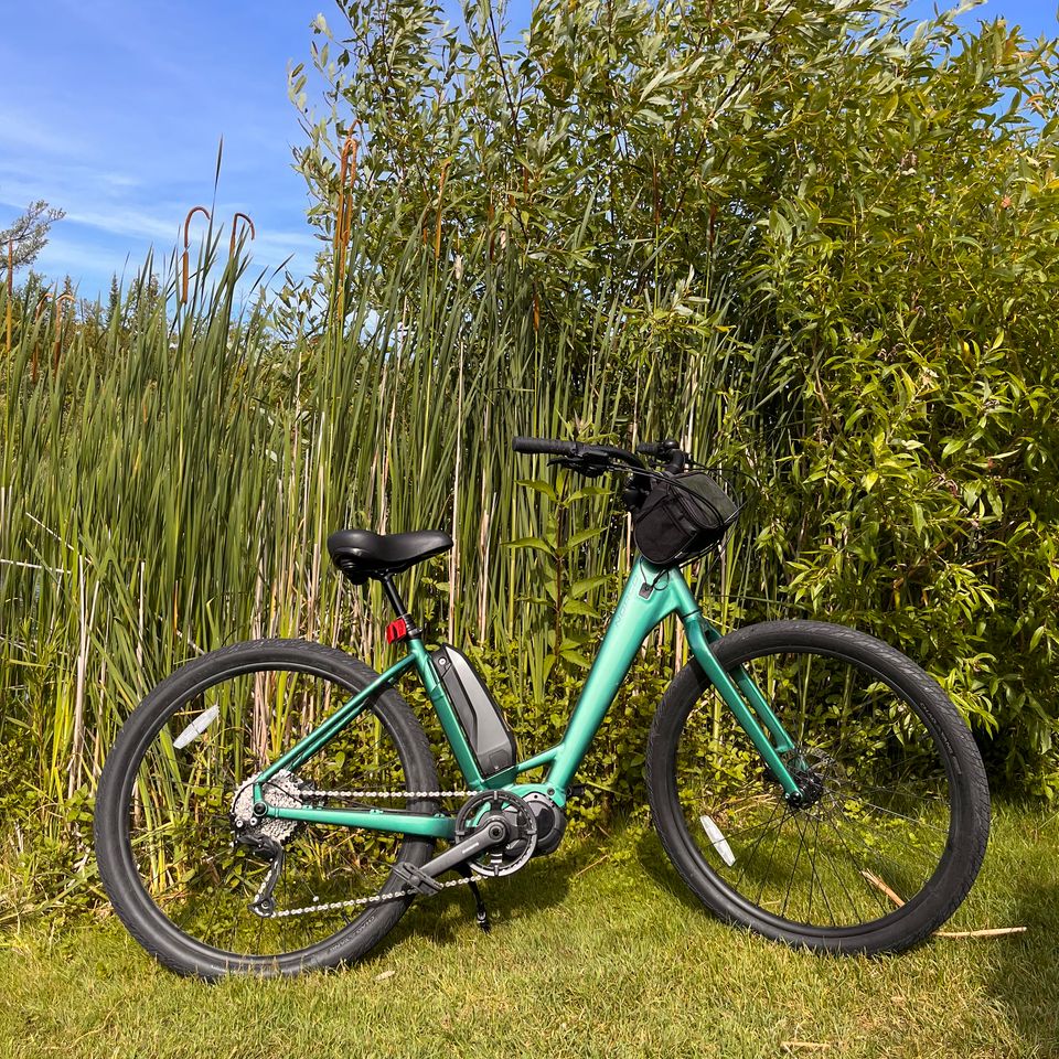 E bike