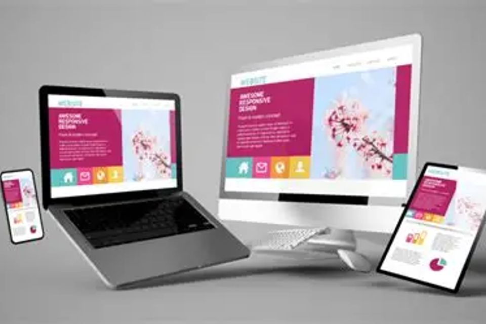 Professional website
