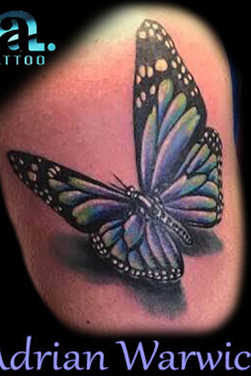 Adrian butterfly
