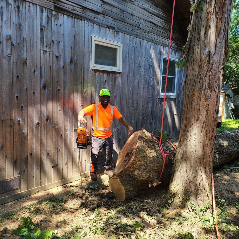 Tree Removal Bobby Tree Care LLC