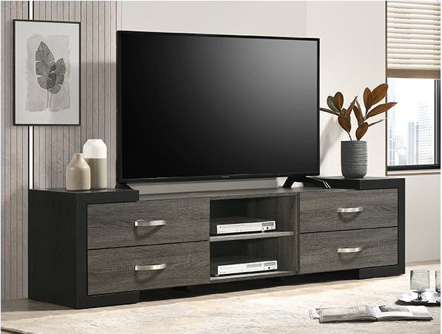 Entertainment unit