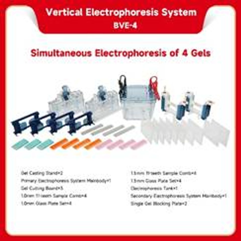 Vertical electrophoresis system be bve 4 1