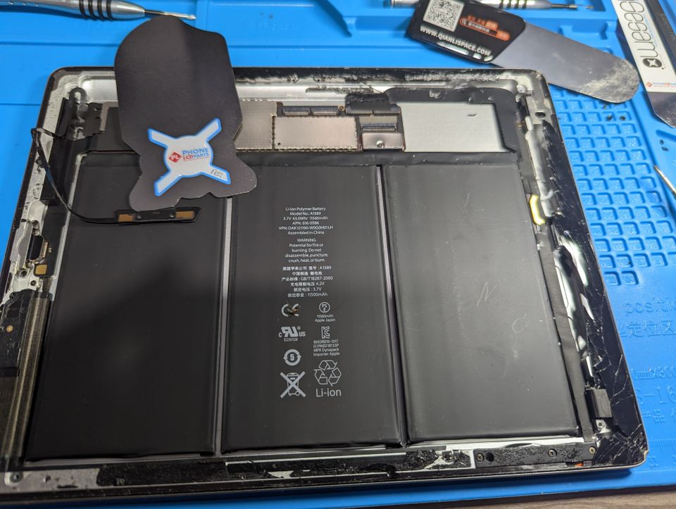 Pxl 20221021 042809386
