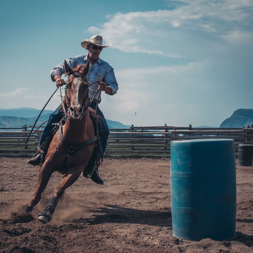 Horse Care