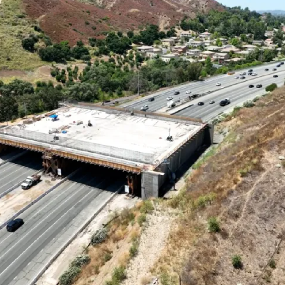 Hwy101 wildlife crossing caltrans 202408