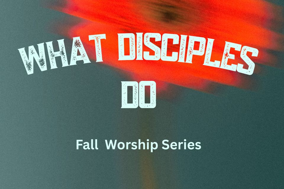 What disciples do series.overview 1