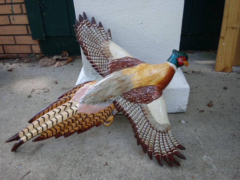 New pheasant