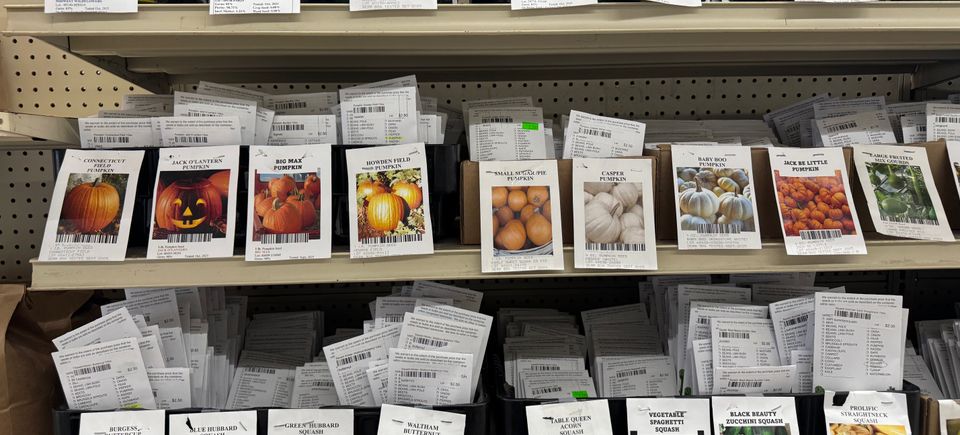 (upload from mobile 1771869603)img 5387