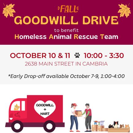 Goodwill drive 2025 (2)
