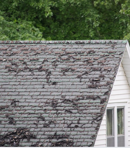 Screenshot 2026 02 26 143556