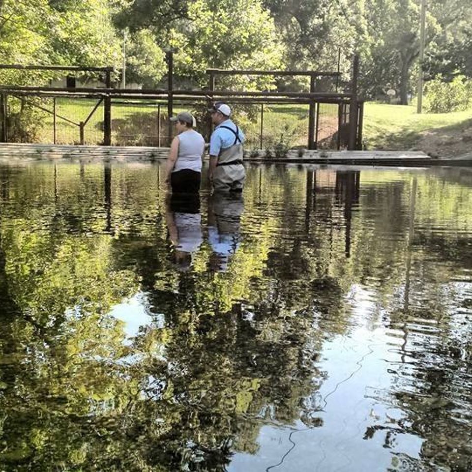 Guided fishing 2