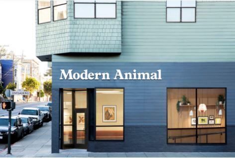 Modern animal. startup