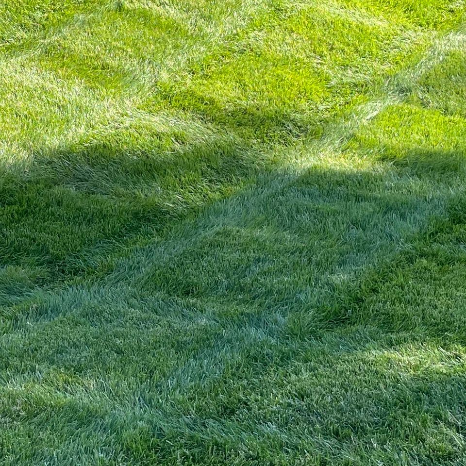 Img 0582