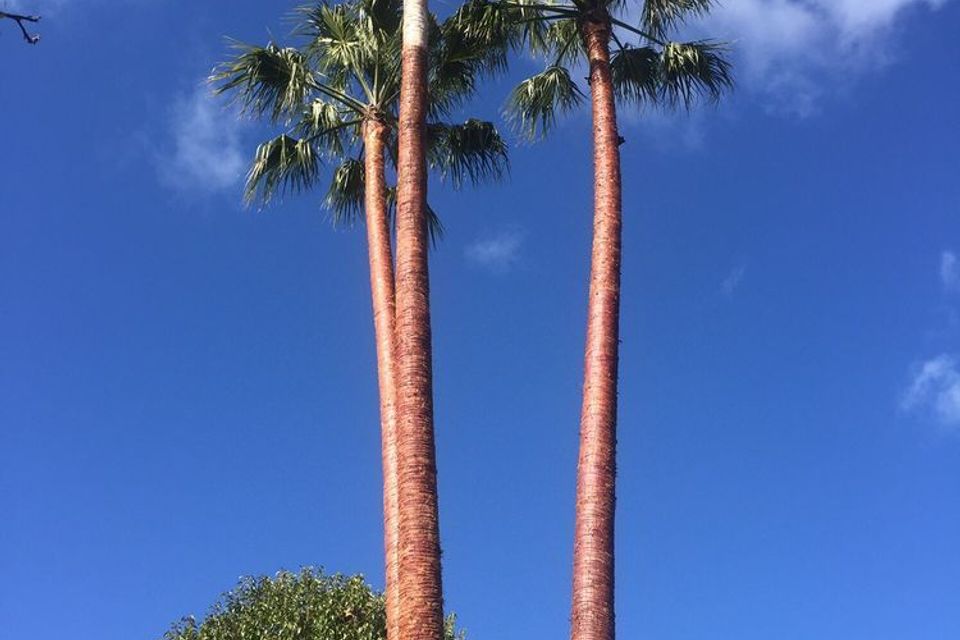 A0c91918dc26bb943dae82c8d9f970f320180306 16931 cpve4t