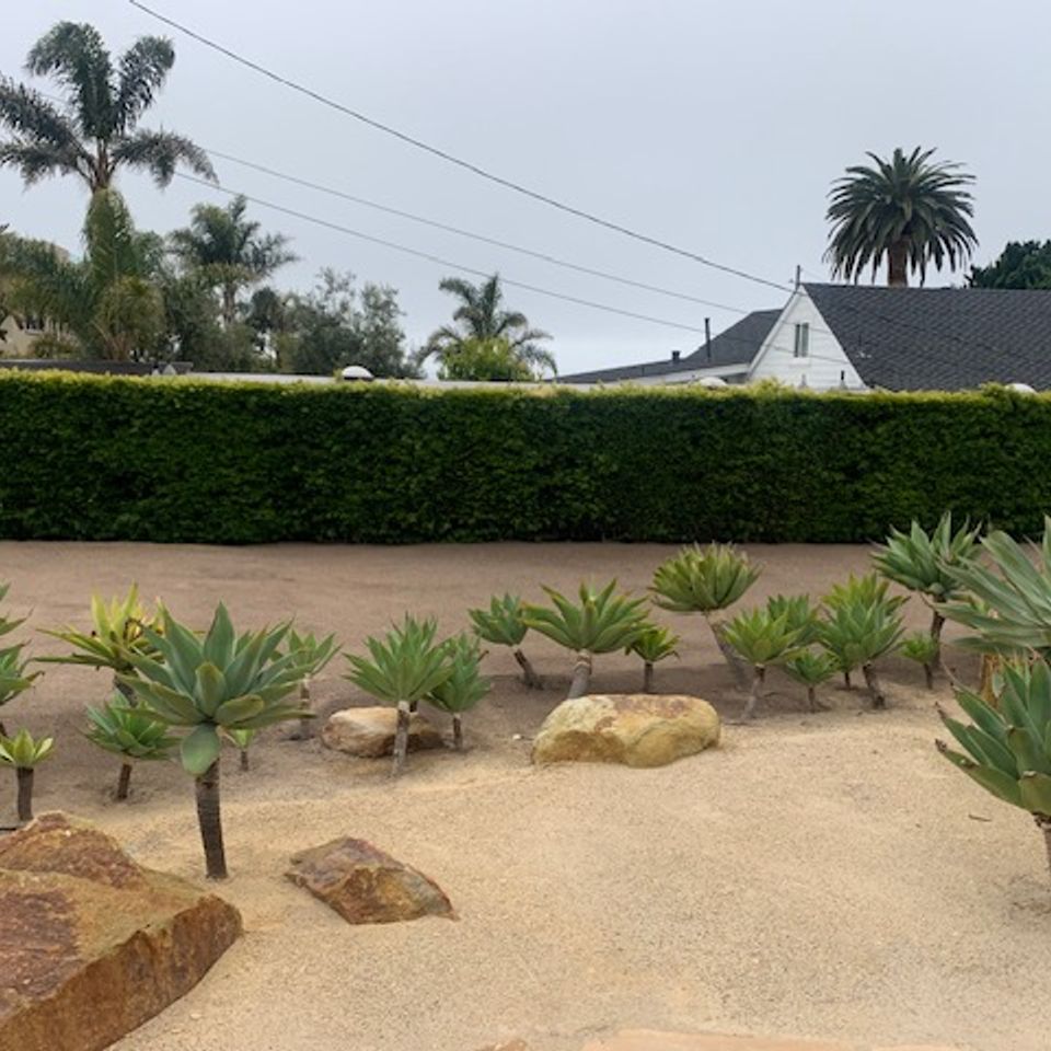 Img 1553