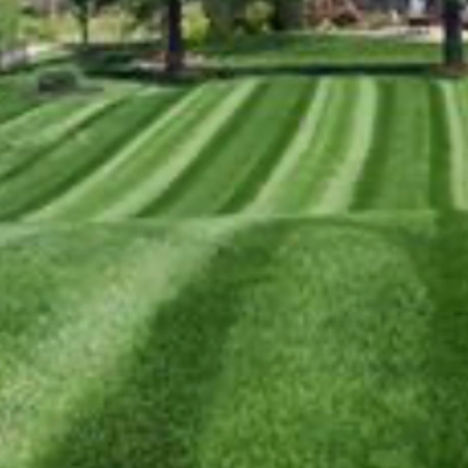 Media 1590627208878 may 27 2020 8 53 pm