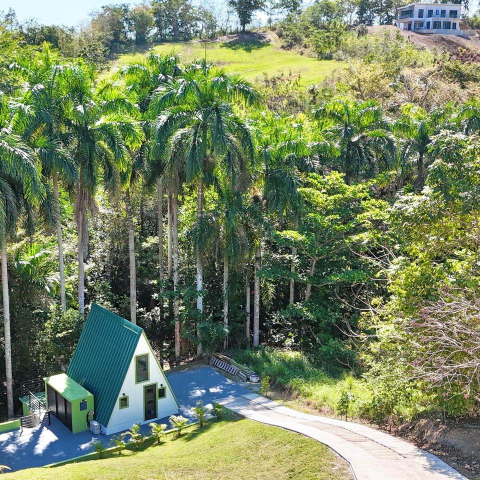 Dji 20250312102521 0347 d 2