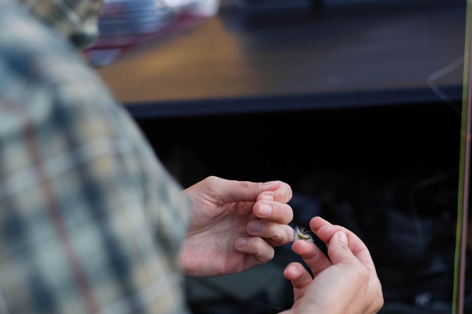 Buffalomountaincounseling 251021 0107