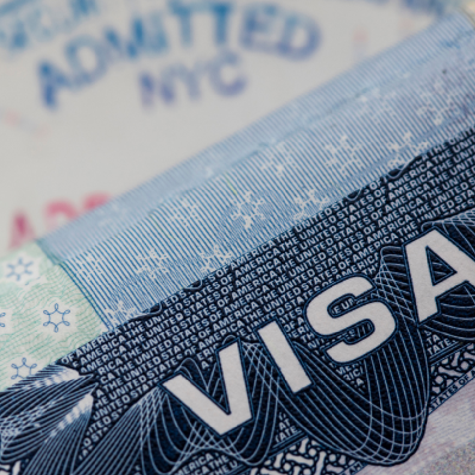 Immigration visas