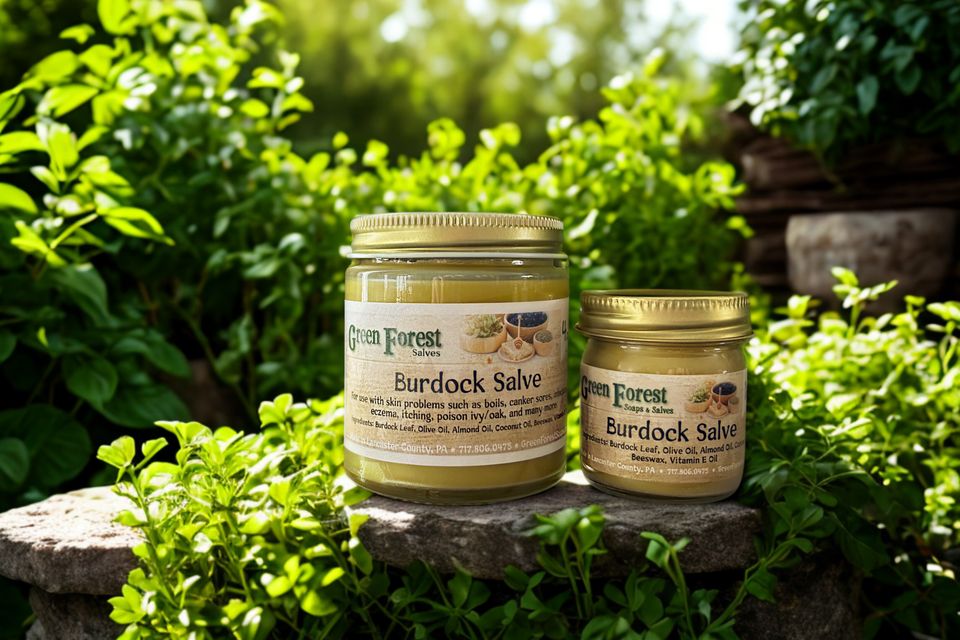 Burdock salve grouop (edited)