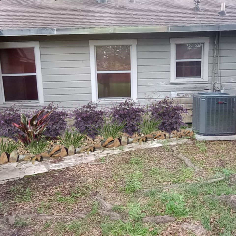 Orca image 1659486859