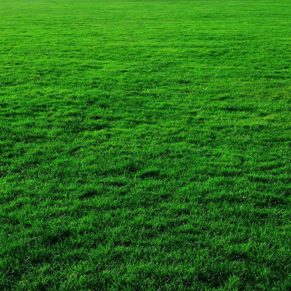Background e83cb90929 1920