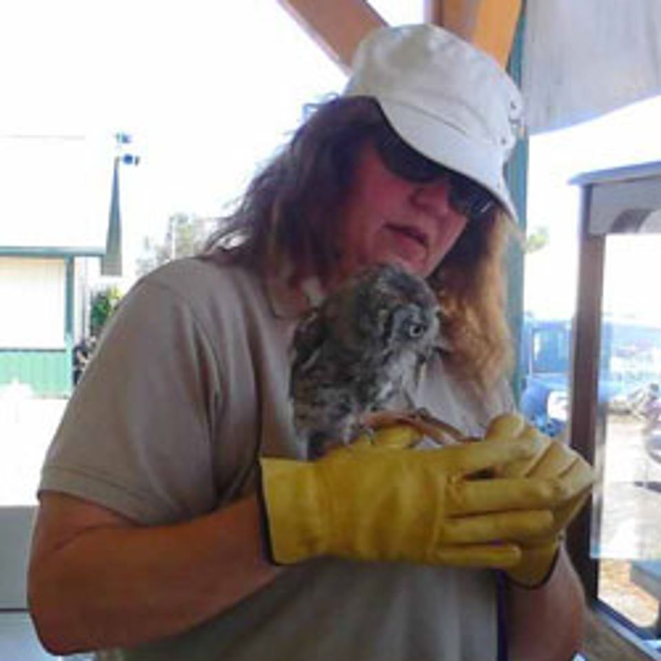 Shelli with a small rescue owl