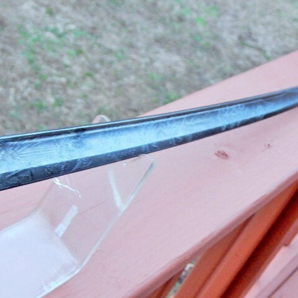 Dscn6788