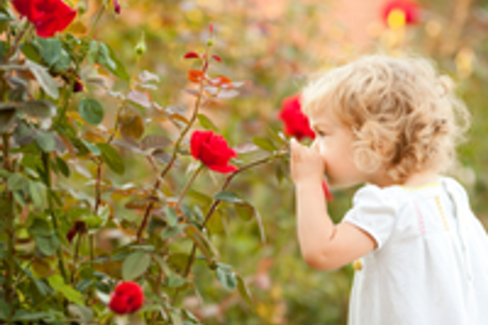 Untitled design (54)