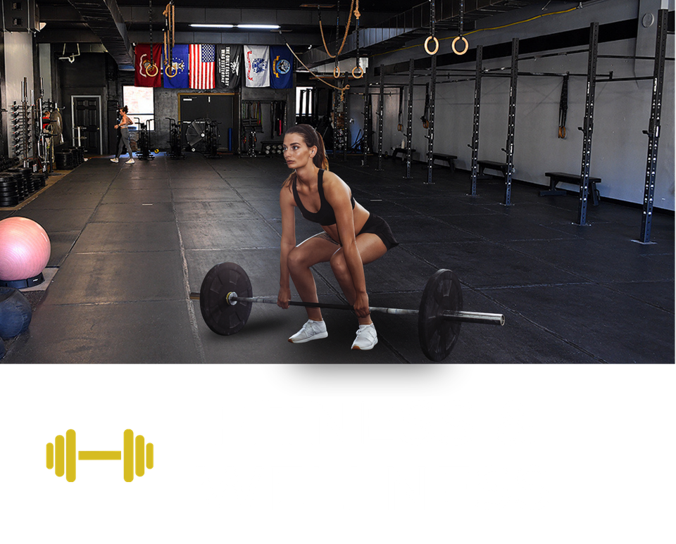 Next level training website (7)