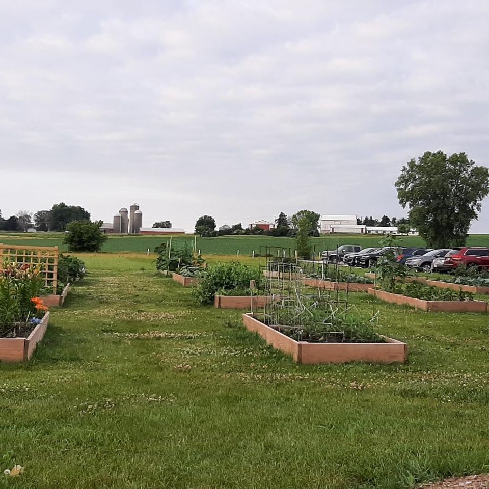 Garden pictures