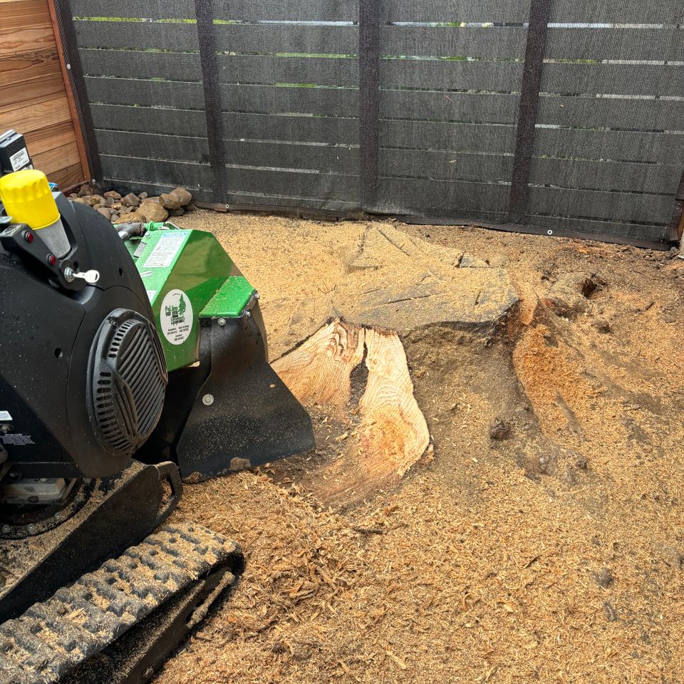 Zamorastump
