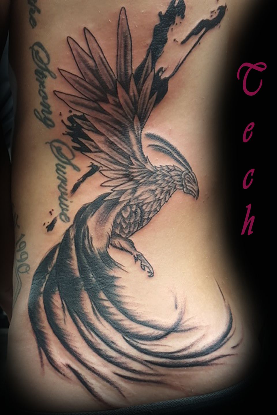 Tech pheonix