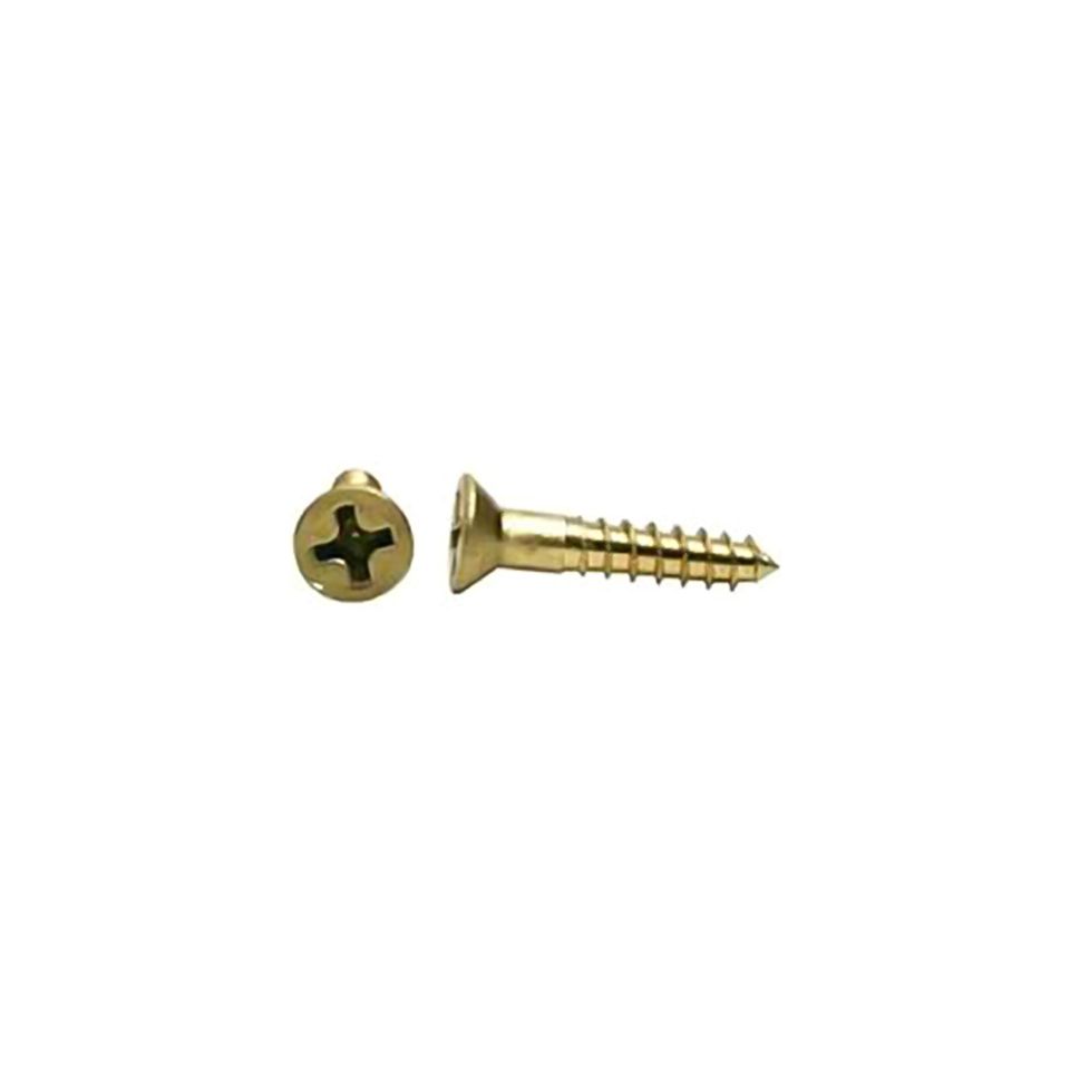 Solid brass phillip head wood screws