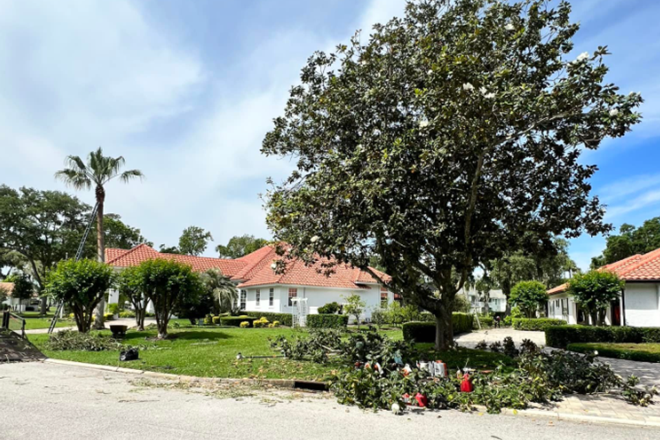 Screenshot 2025 10 20 081748