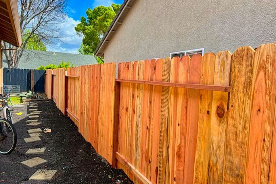 Dog fence Sacramento 