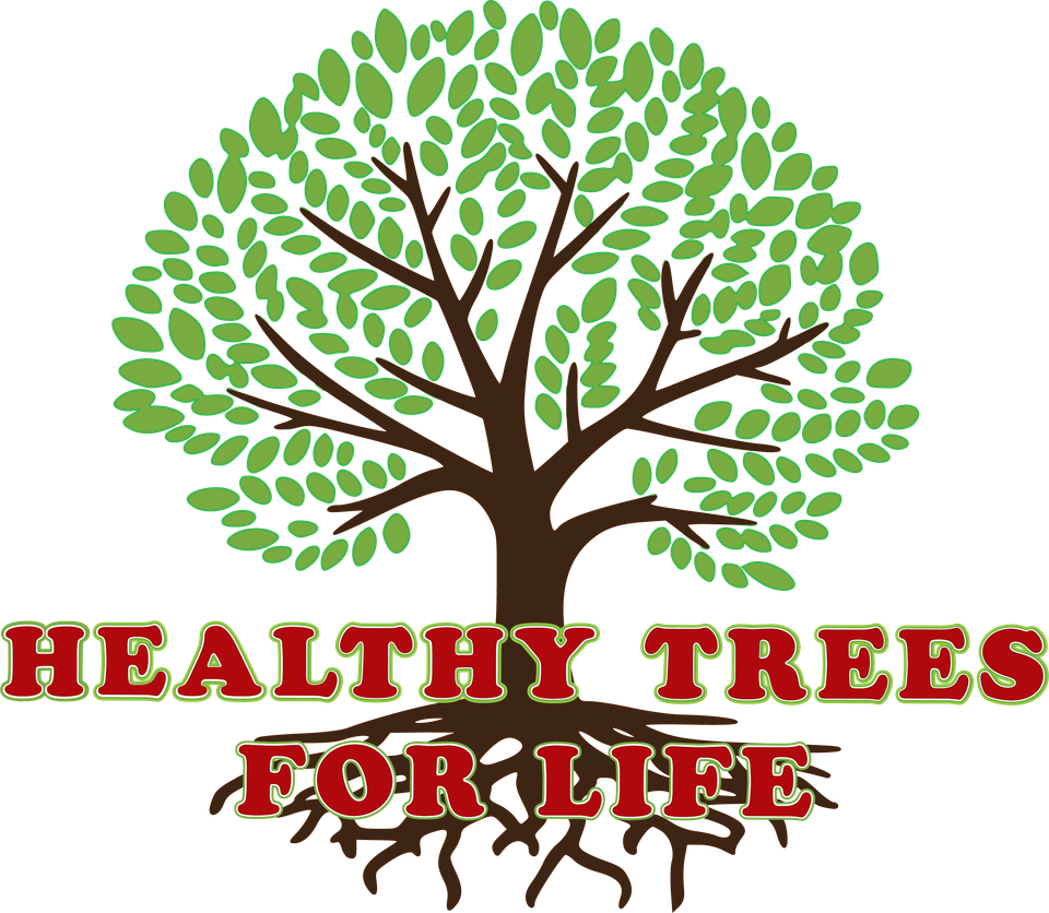 Tree Disease Treatment From Specialist In Ogden Ut Healthy Trees For