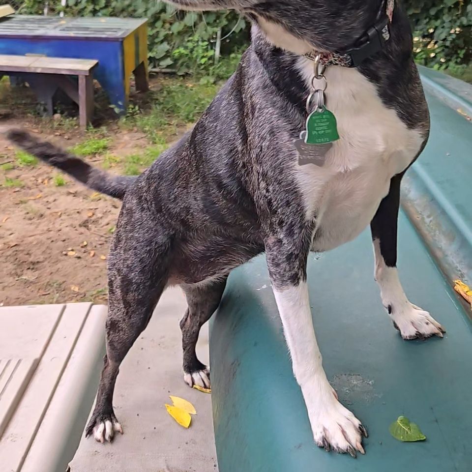 20250901 072418 exported 4707