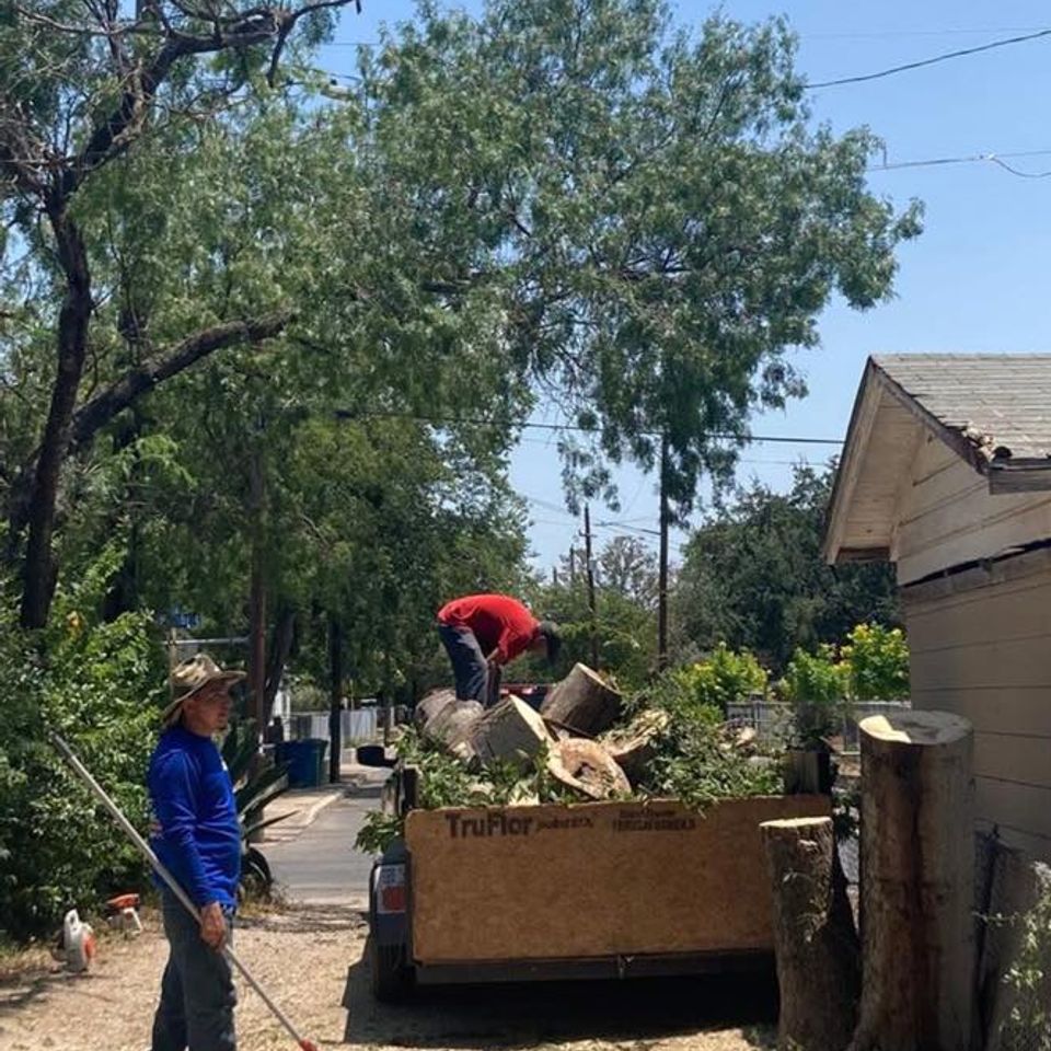 623432956 122099317497240100 8283831887266878668 n