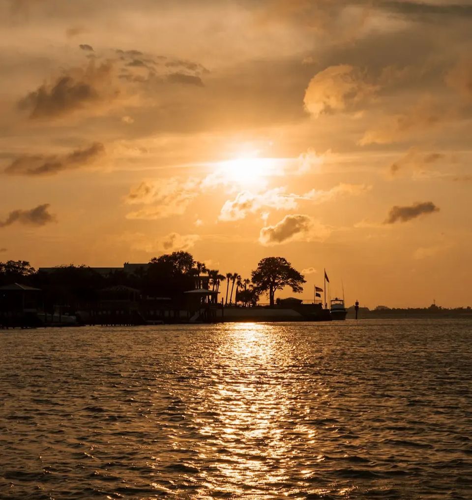 Golden Charleston sunset over harbor with palm trees, boats, and waterfront homes silhouetted