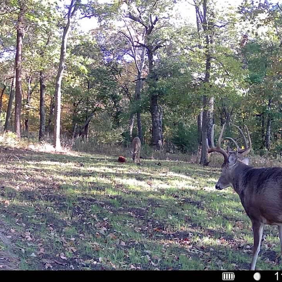 016579003002156 100 4 11012025092726 syfw00168