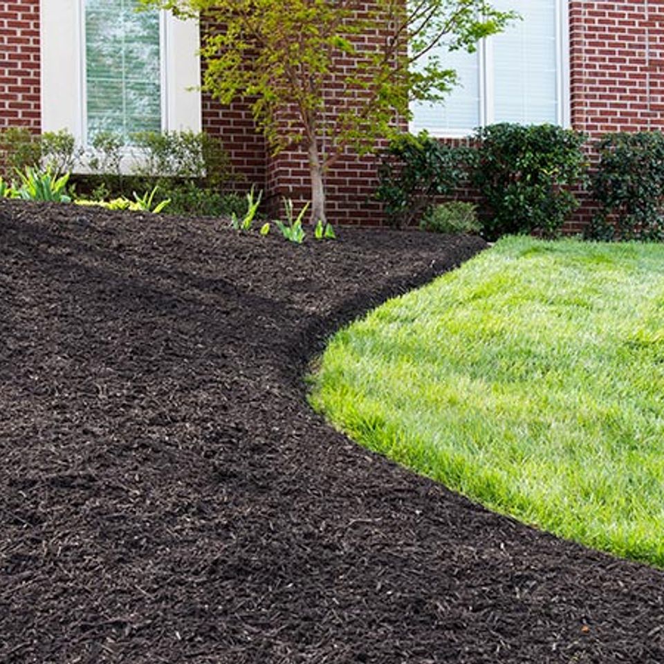 Appleton mulch installation